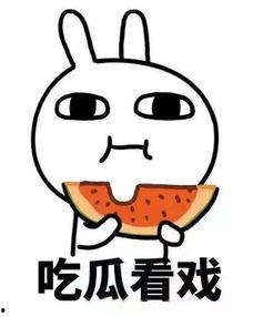 娱乐吃瓜君蛋仔